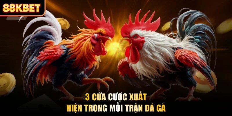 3 cửa cược xuất hiện trong mỗi trận đá gà