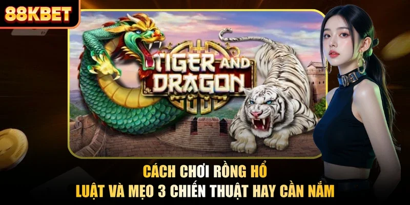 Cách Chơi Rồng Hổ - Luật Và Mẹo 3 Chiến Thuật Hay Cần Nắm