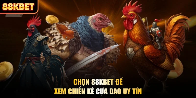 Chọn 88kbet để xem chiến kê cựa dao uy tín