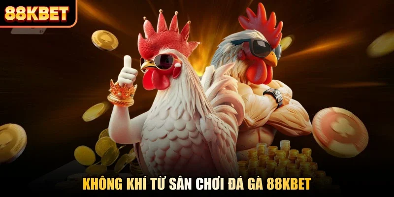 Không khí từ sân chơi đá gà 88KBET