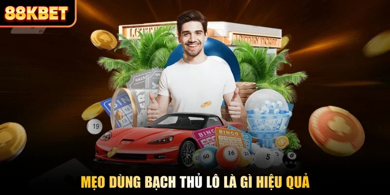 Mẹo dùng bạch thủ lô là gì hiệu quả