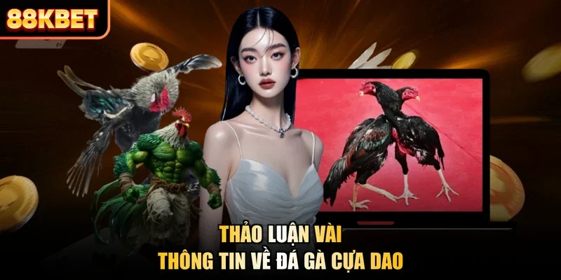 Thảo luận vài thông tin về đá gà cựa dao