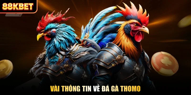 Vài thông tin về đá gà Thomo